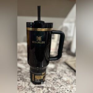 Stanley 40 oz Wicked Elphaba Tumbler
